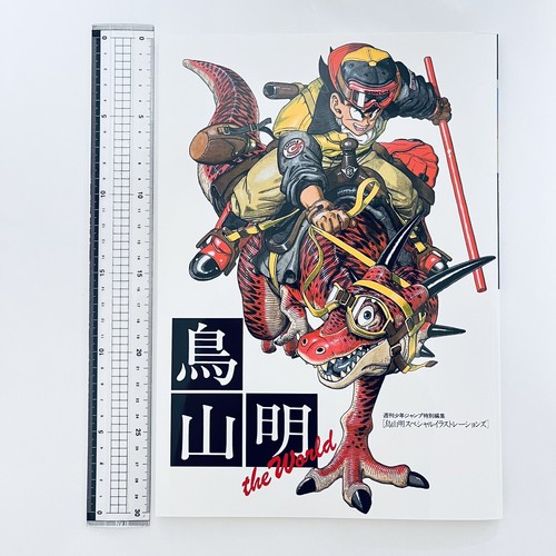 Libro illustrazioni akira - libro,