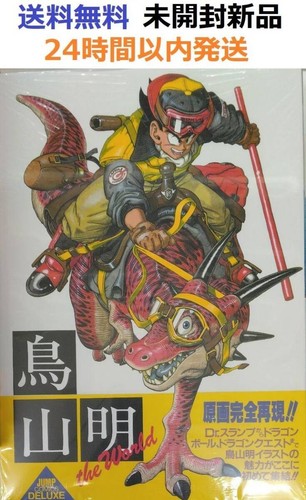Raro dragon ball akira - dragon,
